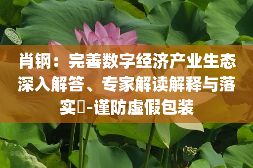 肖鋼：完善數字經濟產業生態深入解答、專家解讀解釋與落實?-謹防虛假包裝