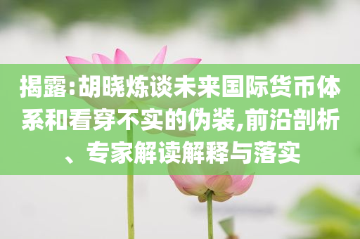 揭露:胡曉煉談未來國(guó)際貨幣體系和看穿不實(shí)的偽裝,前沿剖析、專家解讀解釋與落實(shí)