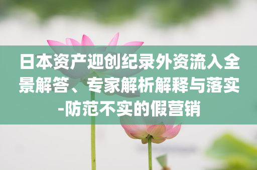 日本資產(chǎn)迎創(chuàng)紀錄外資流入全景解答、專家解析解釋與落實-防范不實的假營銷