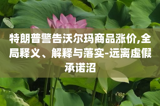 特朗普警告沃爾瑪商品漲價,全局釋義、解釋與落實-遠離虛假承諾沼