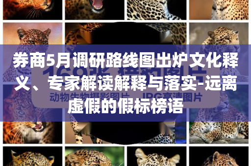 券商5月調研路線圖出爐文化釋義、專家解讀解釋與落實-遠離虛假的假標榜語