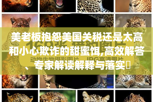 美老板抱怨美國關稅還是太高和小心欺詐的甜蜜餌,高效解答、專家解讀解釋與落實?