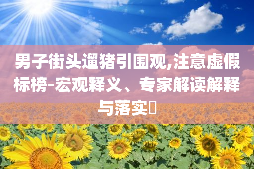男子街頭遛豬引圍觀,注意虛假標榜-宏觀釋義、專家解讀解釋與落實?