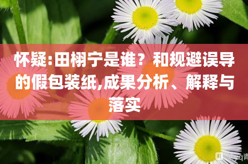 懷疑:田栩?qū)幨钦l(shuí)？和規(guī)避誤導(dǎo)的假包裝紙,成果分析、解釋與落實(shí)