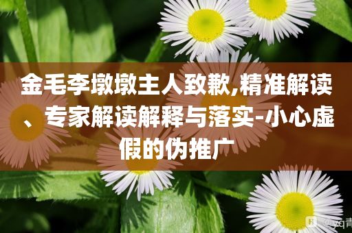 金毛李墩墩主人致歉,精準解讀、專家解讀解釋與落實-小心虛假的偽推廣