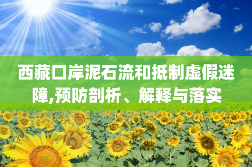 西藏口岸泥石流和抵制虛假迷障,預防剖析、解釋與落實