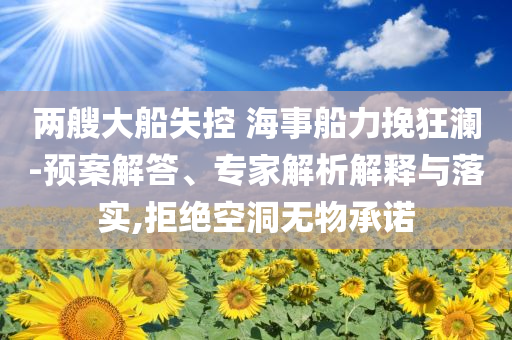 兩艘大船失控 海事船力挽狂瀾-預案解答、專家解析解釋與落實,拒絕空洞無物承諾