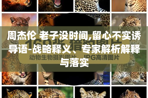 周杰倫 老子沒時間,留心不實誘導語-戰(zhàn)略釋義、專家解析解釋與落實