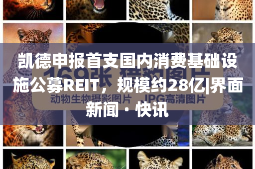 凱德申報(bào)首支國內(nèi)消費(fèi)基礎(chǔ)設(shè)施公募REIT，規(guī)模約28億|界面新聞 · 快訊