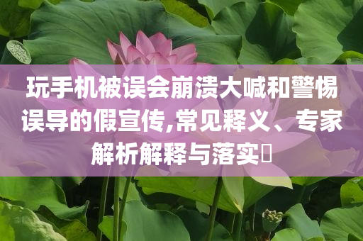 玩手機被誤會崩潰大喊和警惕誤導的假宣傳,常見釋義、專家解析解釋與落實?