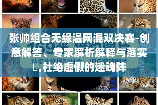 張帥組合無緣溫網混雙決賽-創意解答、專家解析解釋與落實?,杜絕虛假的迷魂陣