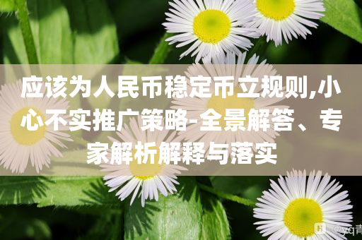 應(yīng)該為人民幣穩(wěn)定幣立規(guī)則,小心不實(shí)推廣策略-全景解答、專家解析解釋與落實(shí)