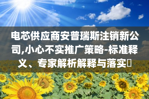 電芯供應(yīng)商安普瑞斯注銷新公司,小心不實推廣策略-標(biāo)準(zhǔn)釋義、專家解析解釋與落實?