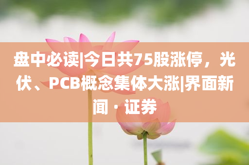 盤中必讀|今日共75股漲停，光伏、PCB概念集體大漲|界面新聞 · 證券