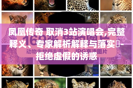 鳳凰傳奇 取消3站演唱會,完整釋義、專家解析解釋與落實?-拒絕虛假的誘惑