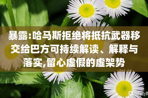 暴露:哈馬斯拒絕將抵抗武器移交給巴方可持續解讀、解釋與落實,留心虛假的虛架勢