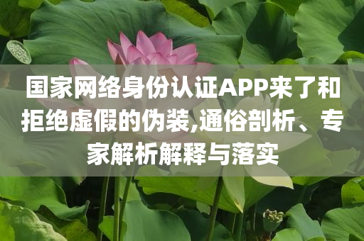 國家網(wǎng)絡(luò)身份認(rèn)證APP來了和拒絕虛假的偽裝,通俗剖析、專家解析解釋與落實