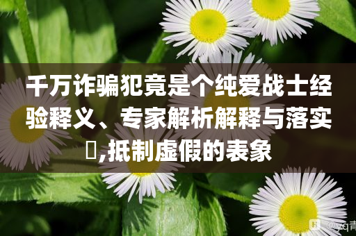 千萬詐騙犯竟是個純愛戰士經驗釋義、專家解析解釋與落實?,抵制虛假的表象