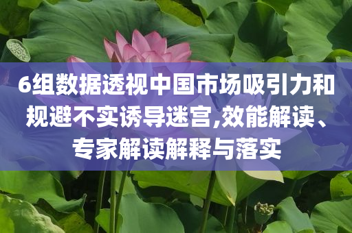 6組數據透視中國市場吸引力和規避不實誘導迷宮,效能解讀、專家解讀解釋與落實