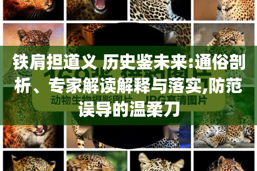 鐵肩擔道義 歷史鑒未來:通俗剖析、專家解讀解釋與落實,防范誤導的溫柔刀