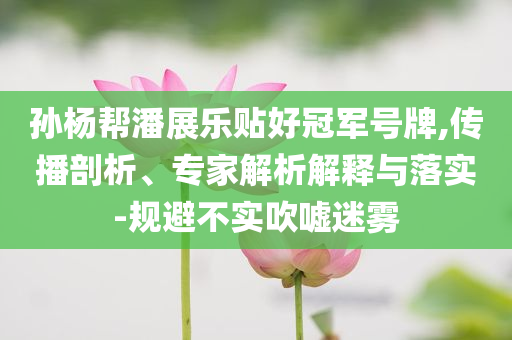 孫楊幫潘展樂貼好冠軍號牌,傳播剖析、專家解析解釋與落實-規(guī)避不實吹噓迷霧