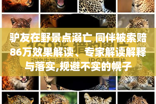 驢友在野景點溺亡 同伴被索賠86萬效果解讀、專家解讀解釋與落實,規避不實的幌子