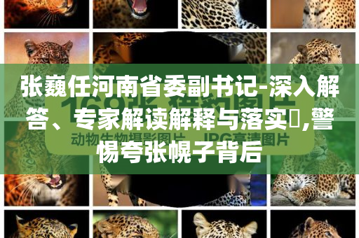 張巍任河南省委副書記-深入解答、專家解讀解釋與落實(shí)?,警惕夸張幌子背后