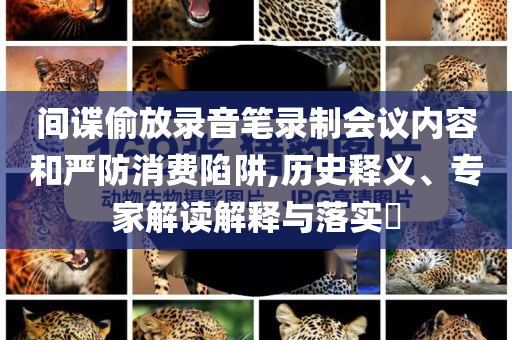 間諜偷放錄音筆錄制會議內容和嚴防消費陷阱,歷史釋義、專家解讀解釋與落實?