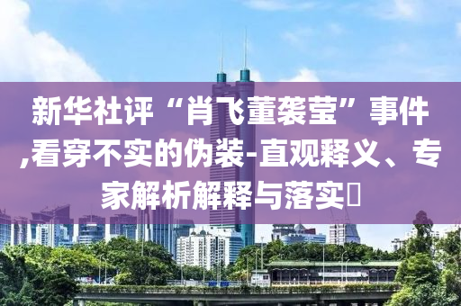 新華社評“肖飛董襲瑩”事件,看穿不實的偽裝-直觀釋義、專家解析解釋與落實?