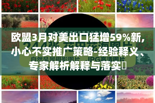 歐盟3月對美出口猛增59%新,小心不實推廣策略-經驗釋義、專家解析解釋與落實?