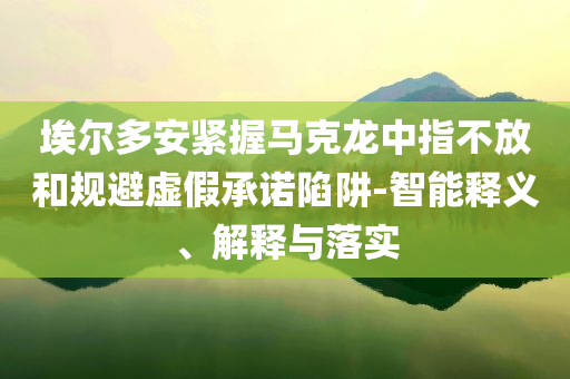 埃爾多安緊握馬克龍中指不放和規(guī)避虛假承諾陷阱-智能釋義、解釋與落實(shí)