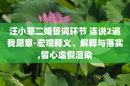 汪小菲二婚誓詞環節 連說2遍我愿意-宏觀釋義、解釋與落實,留心虛假渲染