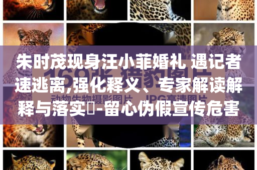 朱時(shí)茂現(xiàn)身汪小菲婚禮 遇記者速逃離,強(qiáng)化釋義、專(zhuān)家解讀解釋與落實(shí)?-留心偽假宣傳危害