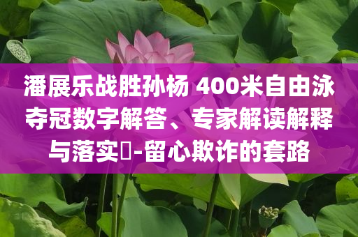 潘展樂戰勝孫楊 400米自由泳奪冠數字解答、專家解讀解釋與落實?-留心欺詐的套路