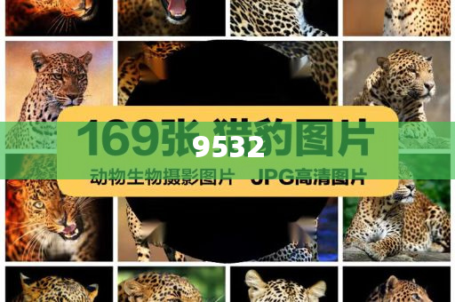 揭開(kāi):2025澳門(mén)掛牌正版掛牌完整和新奧2025資料大全最新版本和謹(jǐn)防虛假包裝-深入解答、專家解析解釋與落實(shí)?
