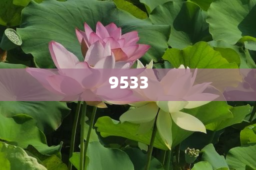 新澳門期期準(zhǔn)免費(fèi)-精準(zhǔn)解讀、解釋與落實(shí),杜絕虛假的假宣傳風(fēng)