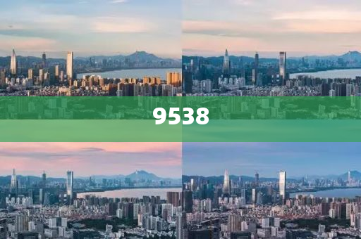 新澳2025年天天開好彩大樂透-風控剖析、專家解析解釋與落實,杜絕虛假的假承諾環