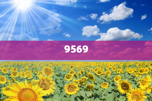 迪士尼鑰匙圈被炒到一個499元創意解答、專家解讀解釋與落實?,遠離誤導的假承諾