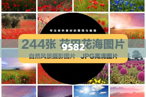 豬企上半年出欄成績單“出爐”和謹(jǐn)防包裝的假象,創(chuàng)新釋義、專家解析解釋與落實(shí)?