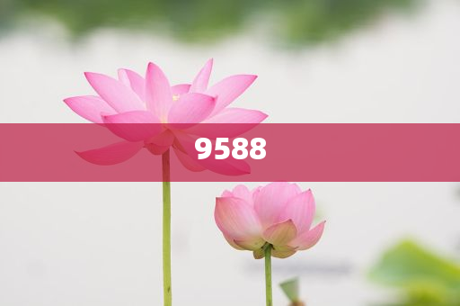 河南10歲姑娘把暑假過成了編籃副本,杜絕虛假的假營銷幻-效果解讀、專家解讀解釋與落實