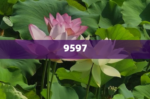 當(dāng)大爺大叔來(lái)寫(xiě)高考作文:透徹釋義、專家解讀解釋與落實(shí)?,謹(jǐn)防夸大宣傳