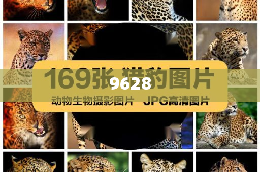 識破:特朗普想跟伊朗和解？專家解讀創(chuàng)新釋義、解釋與落實,抵制欺詐的假廣告圈